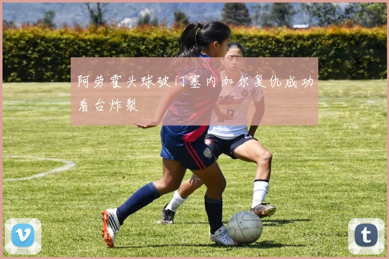 阿劳霍头球破门塞内加尔复仇成功看台炸裂