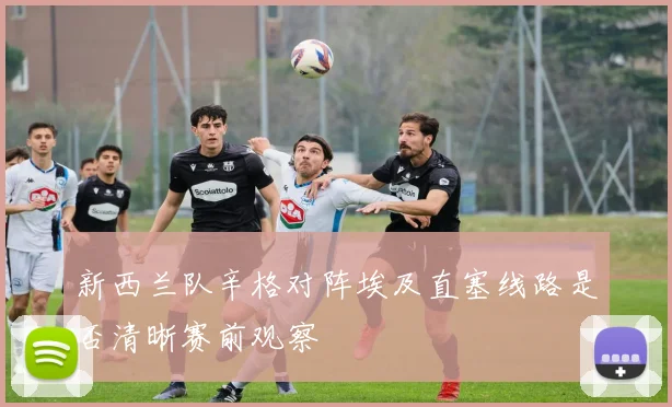 新西兰队辛格对阵埃及直塞线路是否清晰赛前观察