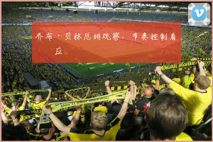 乔布·贝林厄姆观察，节奏控制看接应