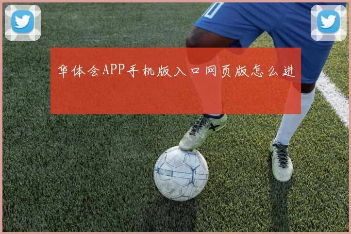 华体会APP手机版入口网页版怎么进